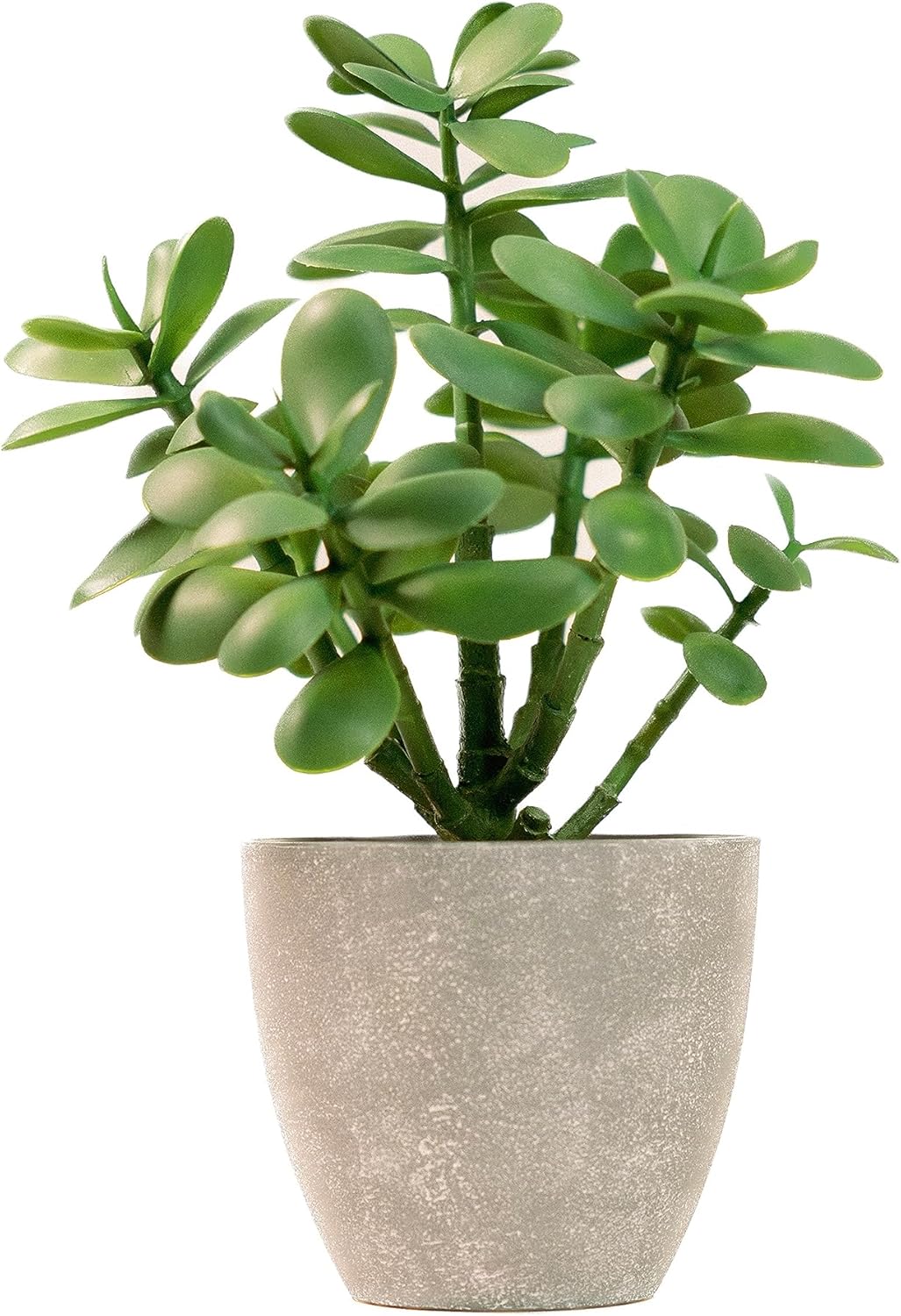 365 Blooming Decor Artificial Jade Plant 12 inch in Gray Pot for Home, Office Decor, Money Tree