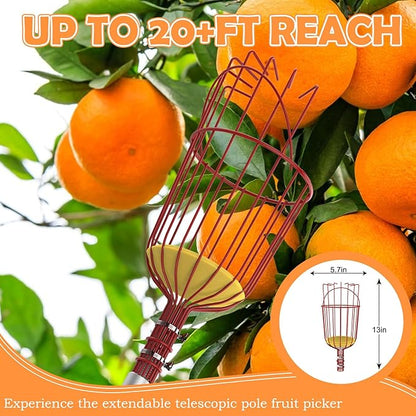 SISIUPASSIE 26FT Reach Fruit Picker, Apple Picker Pole with Basket Telescoping Tool for Apple Lemon