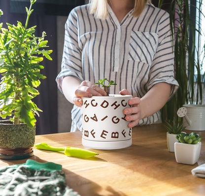 D'vine Dev Set of 2 Ceramic Planter Pots with Drainage Hole and Saucer, 6 Inch Plant Pots for