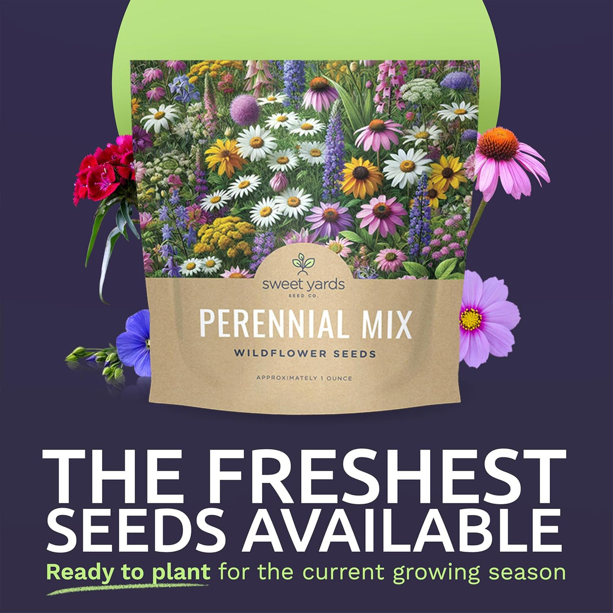 Perennial Wildflower Seeds Mixture - Bulk 1 Ounce Packet - Over 15,000 Pure Live Seed - Open