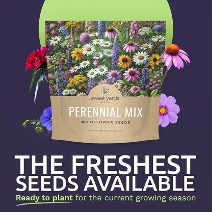 Perennial Wildflower Seeds Mixture - Bulk 1 Ounce Packet - Over 15,000 Pure Live Seed - Open