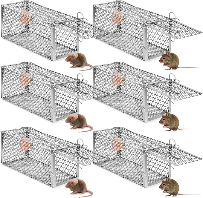 Qualirey 6 Pcs Humane Rat Trap Small Chipmunk Mouse Squirrel Cage Rodent Animal Voles Hamsters Cage