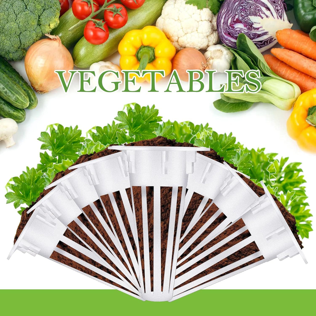 Cunhill 100 Pcs Hydroponic Growing Kit Include 50 Pcs Plant Replacement Basket Containers and 50