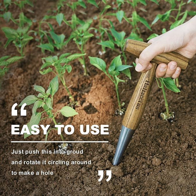 Haliaeetus Dibber Garden Tool, Stamped Stainless Steel Tip Seed Dibber, Smooth Splinter-Free