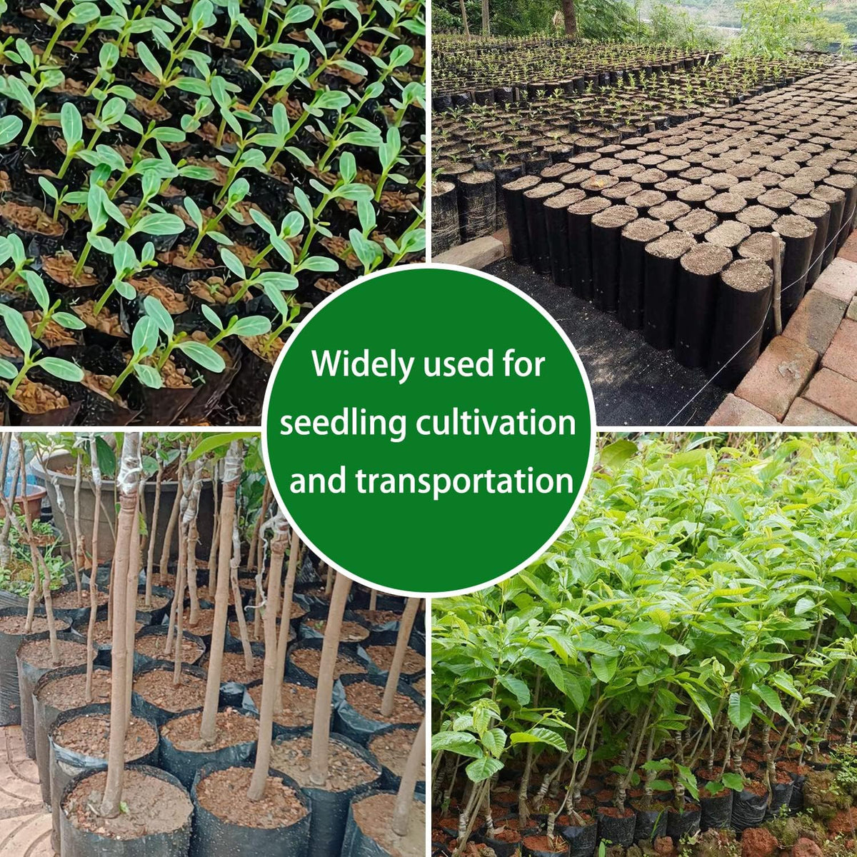 Belit 100 Pcs Plant Nursery Bags, Plastic Seedling Pots Container for Fruit Tree, Flower, Starting