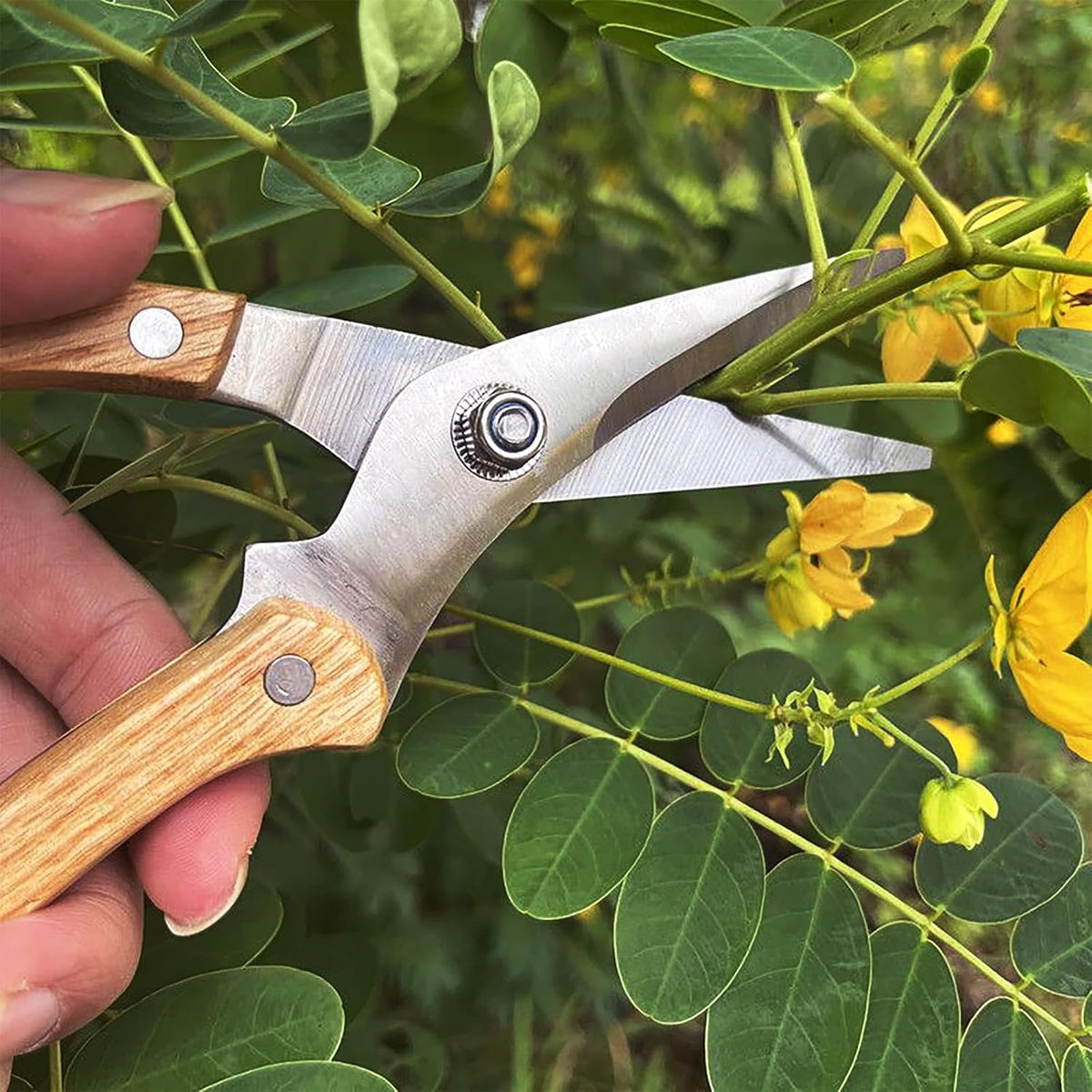 BUGUI Wood Handle Garden Shears, Long Straight Tip, All Steel Construction, Sharp, Well Designed