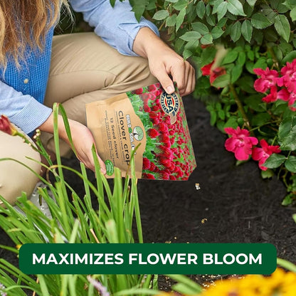 BuildASoil No-Till Clover Seed Cover Crop Blend 12 Species Cover Crop Seed Mix Premium Clover Seeds