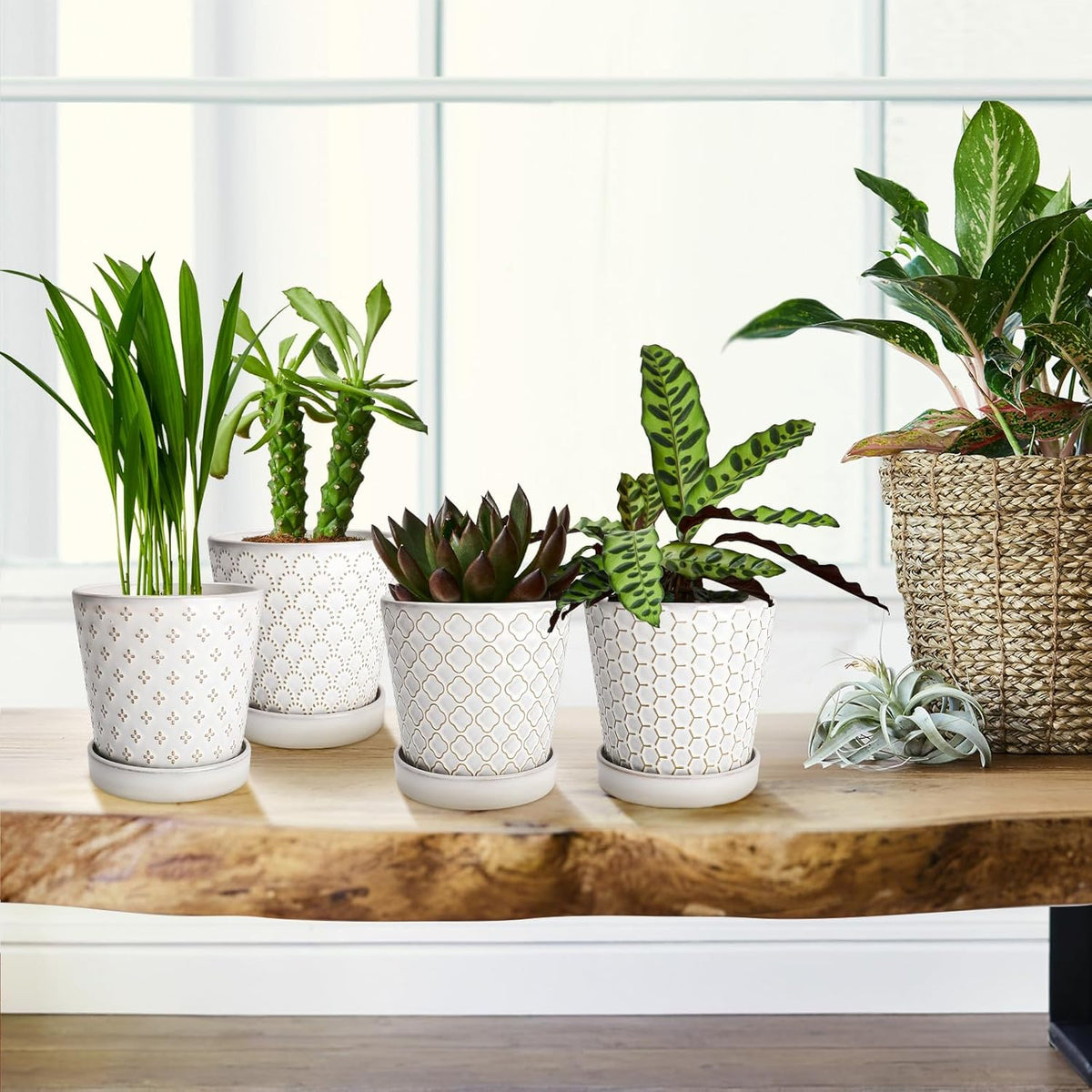 EFISPSS Ceramic Plant Pots Indoor, 5 Inch Planters with Drainage Holes and Ceramic Tray, Relief