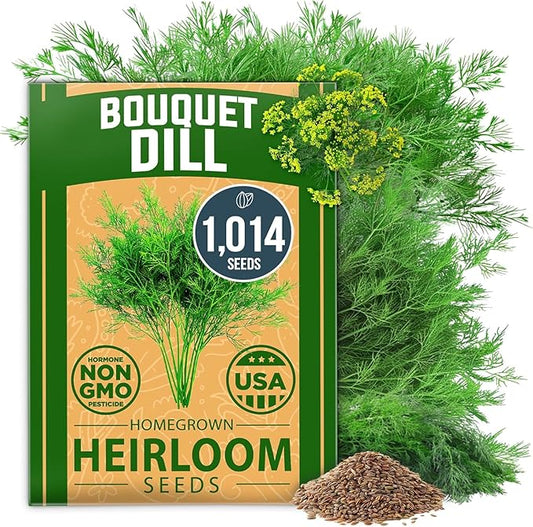 HOME GROWN 𝗨𝗦𝗔 𝗣𝗥𝗘𝗠𝗜𝗨𝗠 Dill Seeds for Planting 1,014 Bouquet Dill Seeds 𝗡𝗢𝗡-𝗚𝗠𝗢 and