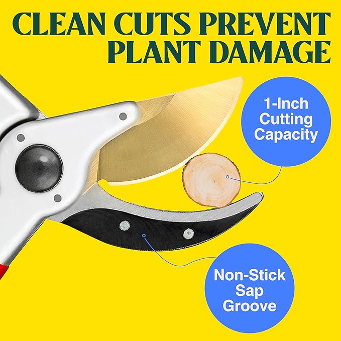 Haus & Garten ClassicPRO 8.5" Premium Titanium Bypass Garden Shears - Use as Pruners, Pruning