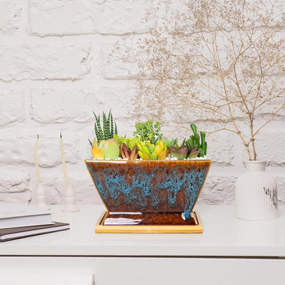 ARTKETTY Succulent Pots - 7 Inch Large Plant Pot with Drainage Tray, Shallow Ceramic Pots for