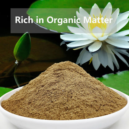 Natural Pond Mud Soil for Planting Bonsai Lotus Flower (2)
