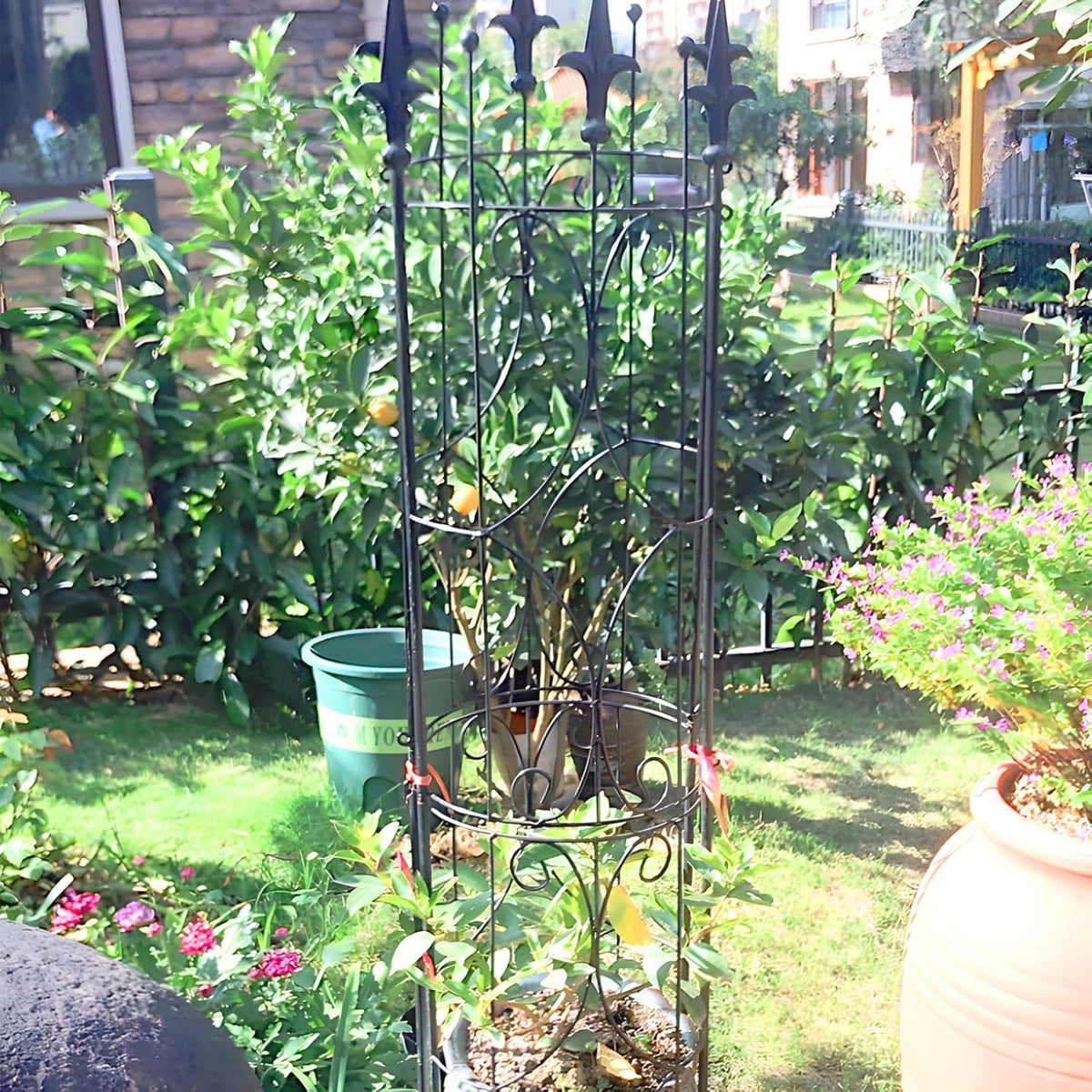 Garden Trellis 2 Pack 72'' H x 12'' W Metal Plant Trellis Indoor/Outdoor Metal Garden Trellis Plant
