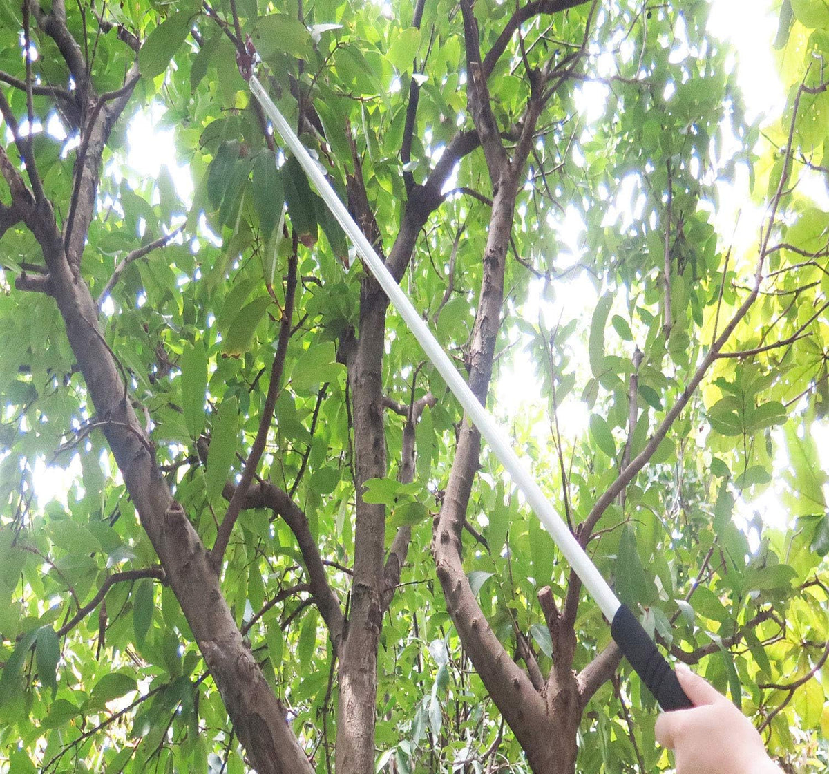 4 Feet Cut and Hold Tree Pruner, Rotation Pole Tree Trimming, Long Reach Fruit Picker, Branches