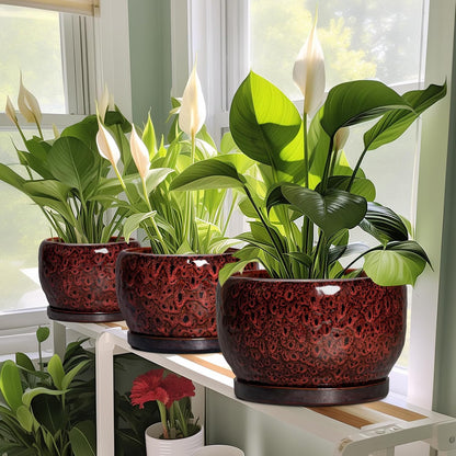 SQOWL Ceramic Flower Pots - 10 Inch Plant Pot Indoor, Ceramic Planter with Drainage Hole and