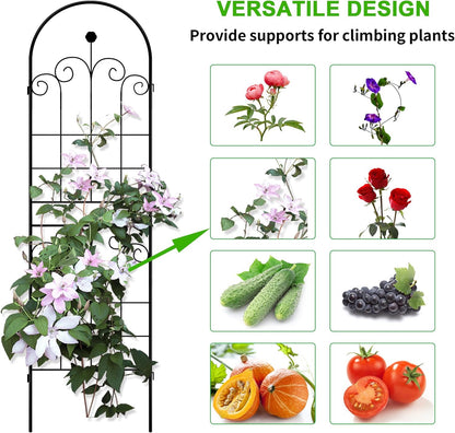 LZRS 4 Pack 71x20in Rustic Iron Arch Decoration Garden Trellis with Black Metal Coating – Perfect