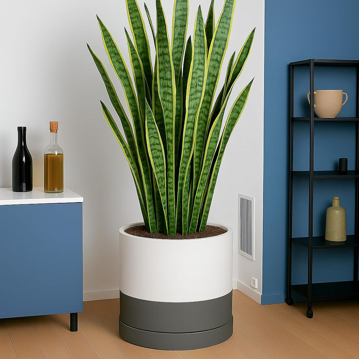 D'vine Dev 14 Inch Ceramic Planter Pot with Drainage Hole and Saucer, Indoor Cylinder Round Planter