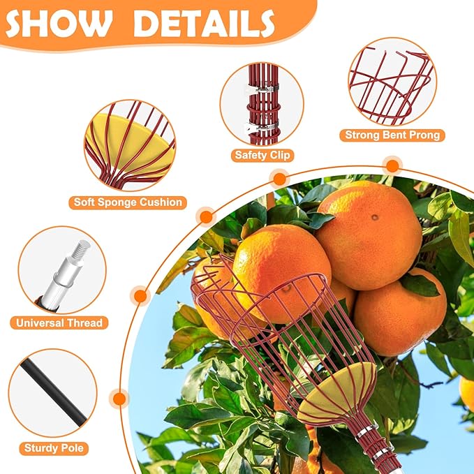 SISIUPASSIE 26FT Reach Fruit Picker, Apple Picker Pole with Basket Telescoping Tool for Apple Lemon
