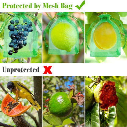 Morcheiong 60Pcs Protection Bags 8" x 12", Reusable Netting for Fruit Trees, Garden Mesh With
