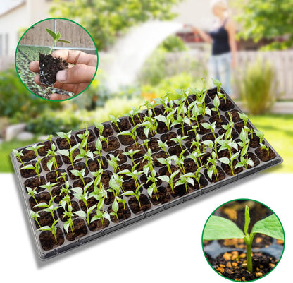 72 Cell Seed Trays, Thick Durable 72 Cell Plug Tray Seedling Plastic Nursery Tray for 1020 Flat