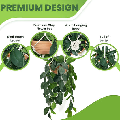 Hanging Plants Artificial Decor, Fake Hanging Plant in Clay Pot Artificial Hanging Plants with Fake
