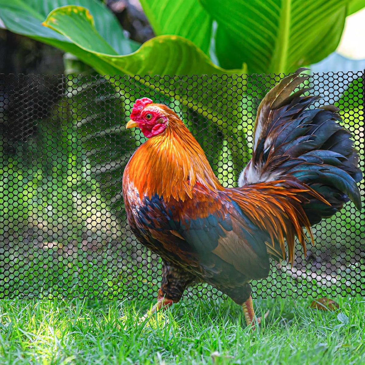 16.4 FT x 15.7 in Roll Mesh Fence, Versatile Black Plastic Fencing & Netting, Cuttable Animal Wire