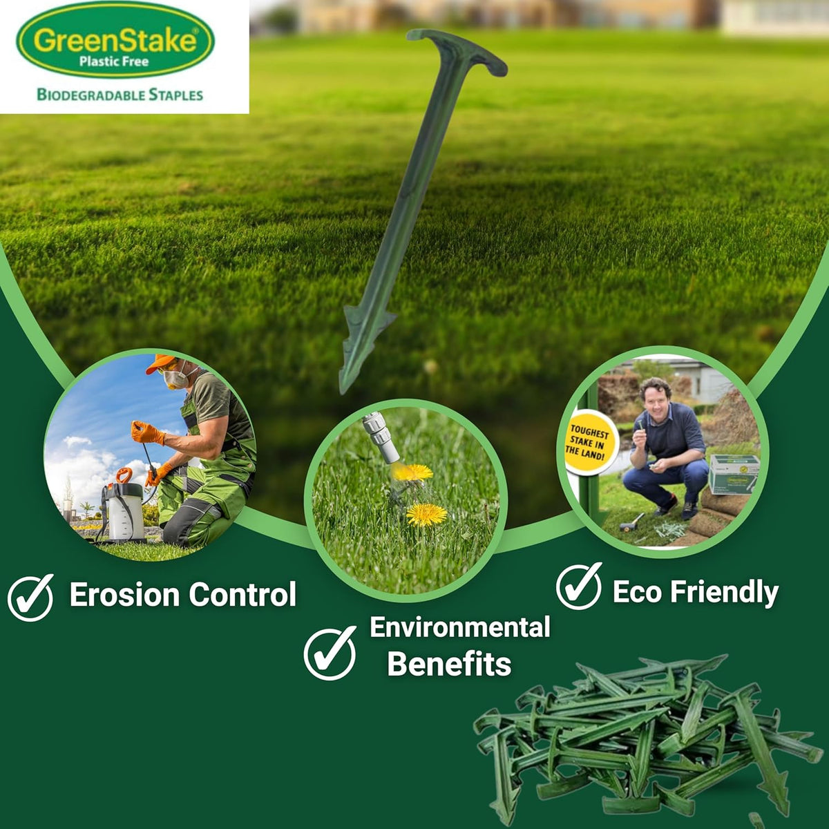 Pack of 50 - GreenStake 4-Inch Biodegradable Garden Stakes, Superior Holding Power - Eco-Friendly