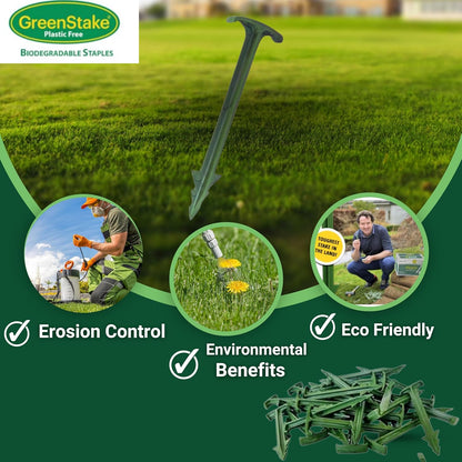 Pack of 50 - GreenStake 4-Inch Biodegradable Garden Stakes, Superior Holding Power - Eco-Friendly