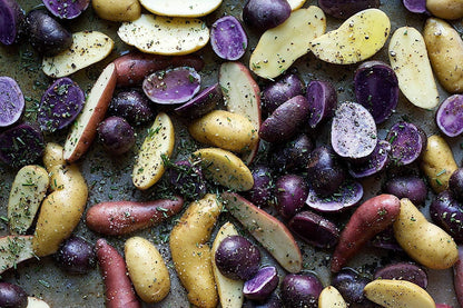 Simply Seed - 10 Piece - Fingerling Potato Seed Mix - Non GMO - American Raised - Ready for Planting