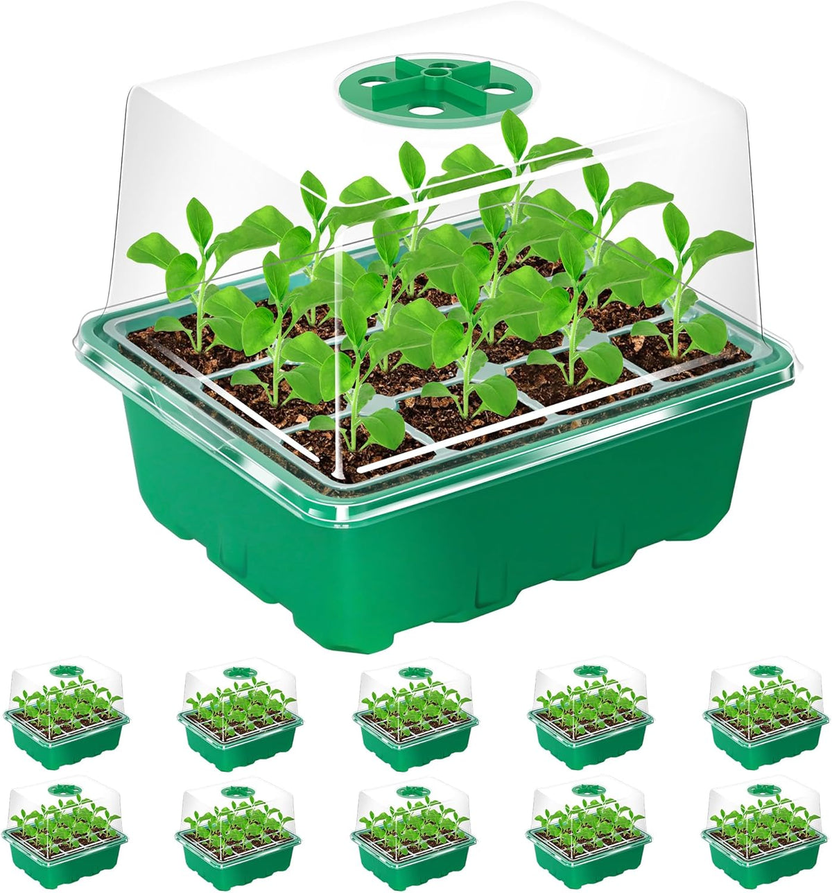 Bonviee 10 Packs Seed Starter Tray with Elevated Lid, 120 Cells Thicken Seed Starting Trays Kit