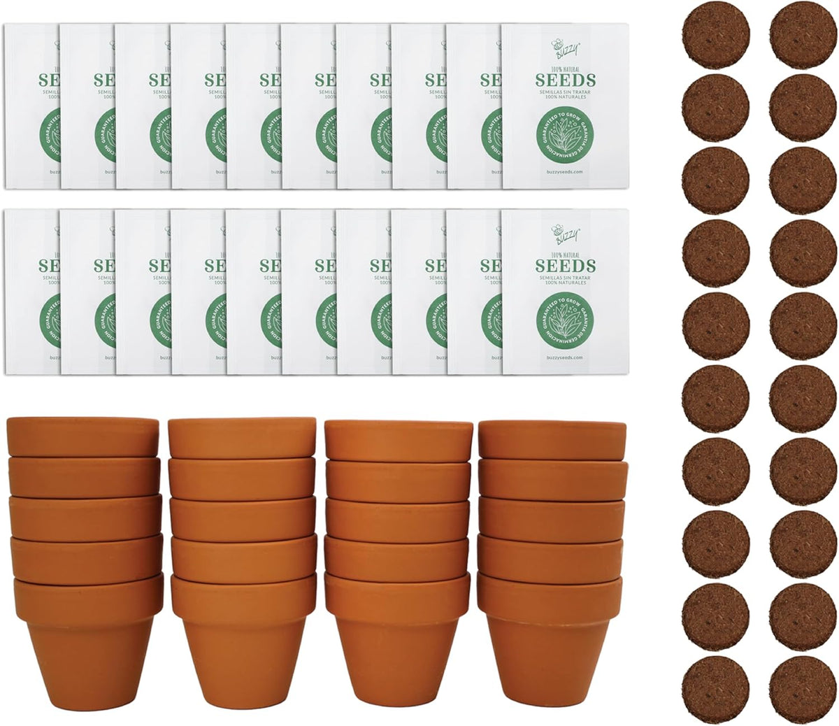 BUZZY Seeds Spruce Terracotta Mini Grow Pots – Indoor Tree Starter Kit Bulk 20-Pack – DIY Planting