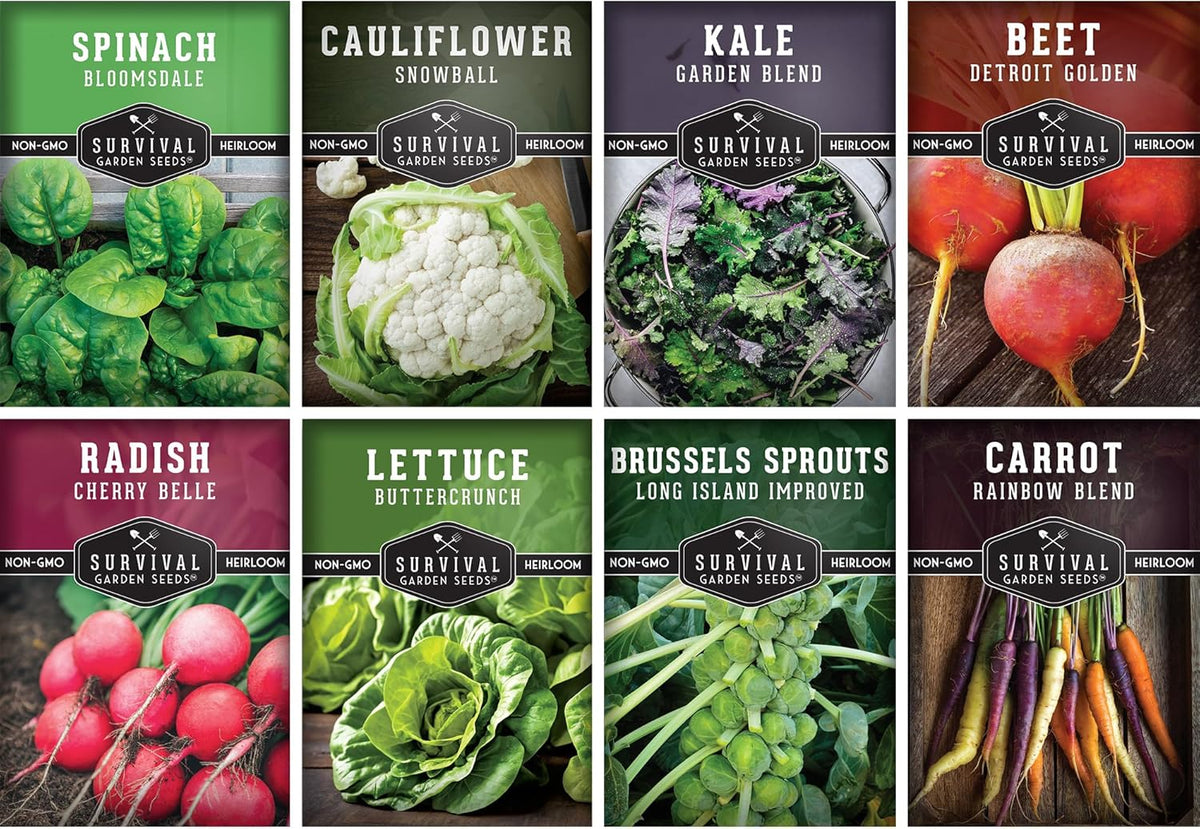 Fall & Winter Vegetable Seed Collection – 8 Packs of Non-GMO Heirloom Seeds for Planting Vegetables