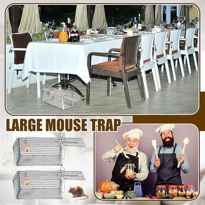 Qualirey 6 Pcs Humane Rat Trap Small Chipmunk Mouse Squirrel Cage Rodent Animal Voles Hamsters Cage