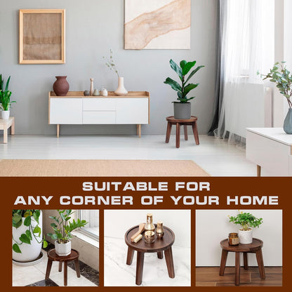 Demigo Indoor Plant Stand, Acacia Wooden Decorative Plant Shelf with Spill-Proof Tray, Stable 8”