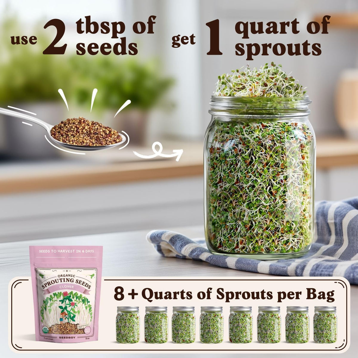 Seedboy Organic Non-GMO Clover Seeds for Sprouting - USA Grown Microgreens Sprouting Seeds - 8 oz