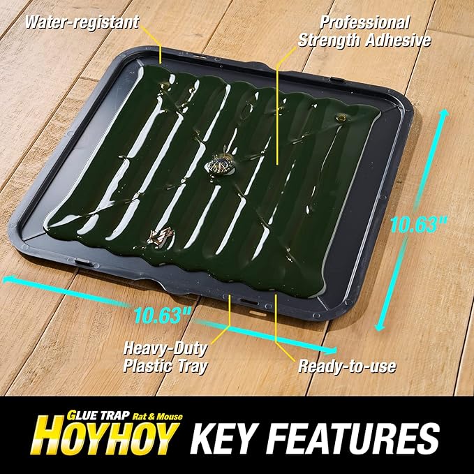 HOY HOY Jumbo Size Rat & Mouse Indoor/Outdoor Glue Trap 2 Large Traps [1 Pack] - Heavy-Duty
