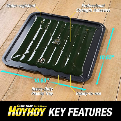 HOY HOY Jumbo Size Rat & Mouse Indoor/Outdoor Glue Trap 2 Large Traps [1 Pack] - Heavy-Duty