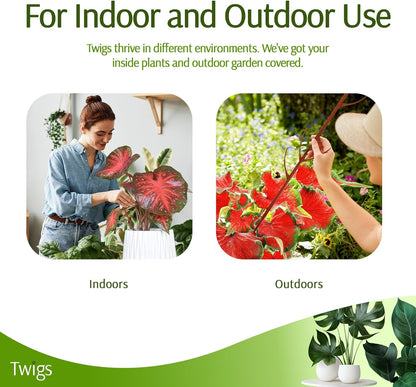 Plant Support Stakes, Stem Holder Structures for Indoor & Outdoor Use, Garden Accessories for