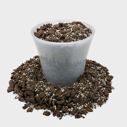 Gardenera Professional Succulent Soil Premium All Purpose Blend | Pre-Mixed Ready to Use for Cactus