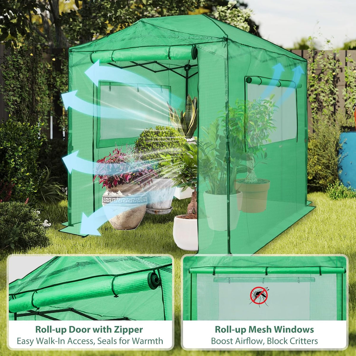EAGLE PEAK Instant Pop-up Greenhouse, Indoor Outdoor Plant Gardening Green House, Roll-Up Zipper