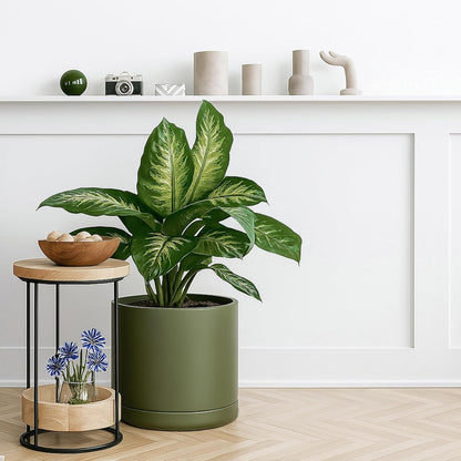 D'vine Dev 12 Inch Ceramic Planter Pot with Drainage Hole and Saucer, Indoor Cylinder Round Planter