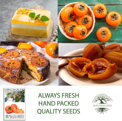 Date Plum Persimmon Tree Seeds (Diospyros Lotus) – 30+ Non-GMO & Heirloom Seeds, Exotic & Rare