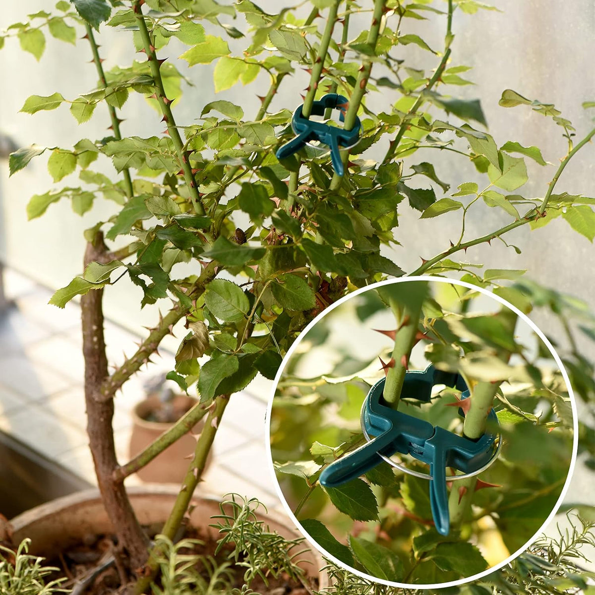 Plant Support Clips, 80 PCS Gentle Flower Plant Clamps for Supporting Vine Climbing Plants