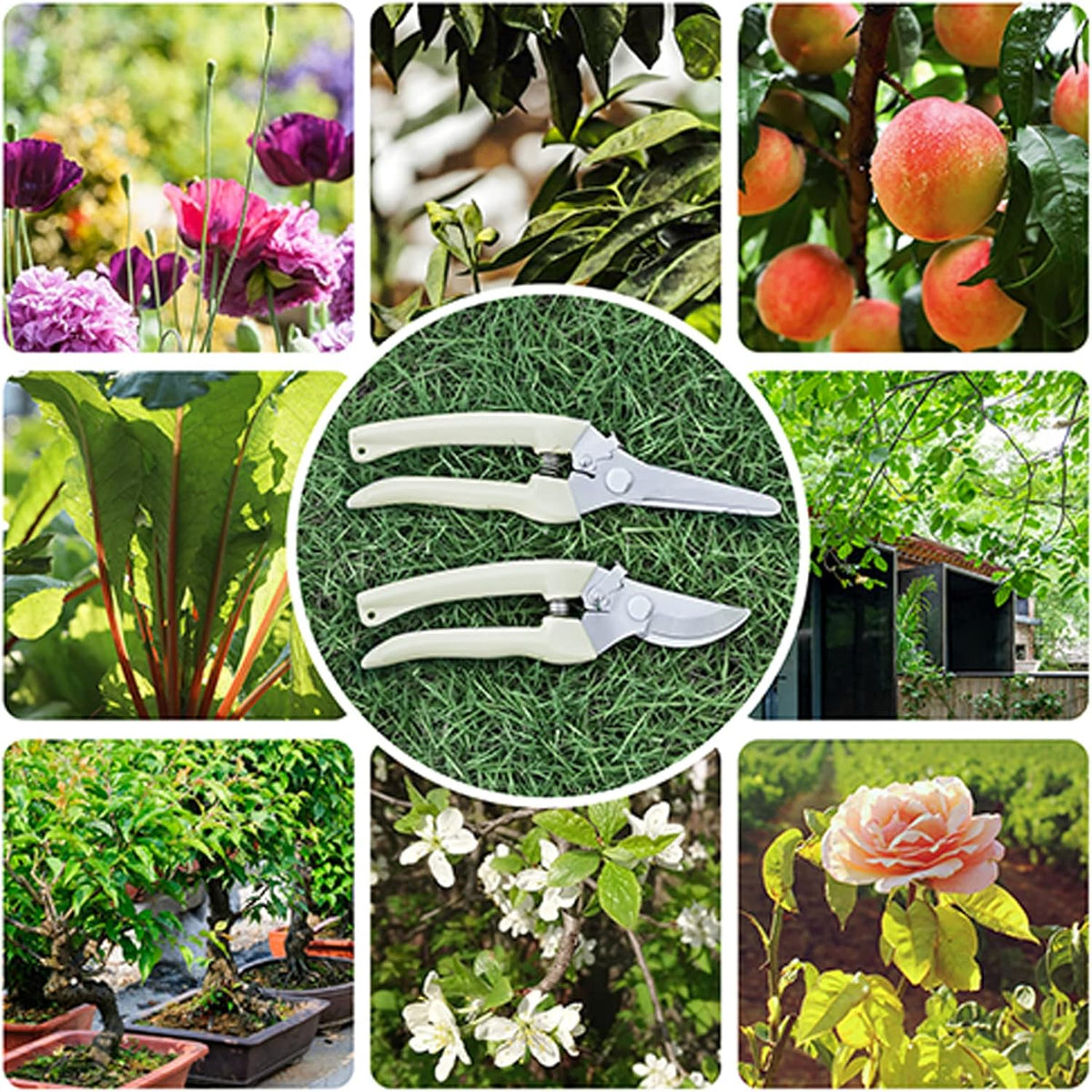 Premium garden shears, meperez pruning scissors gardening tools, pruners for flower, bushes, rose