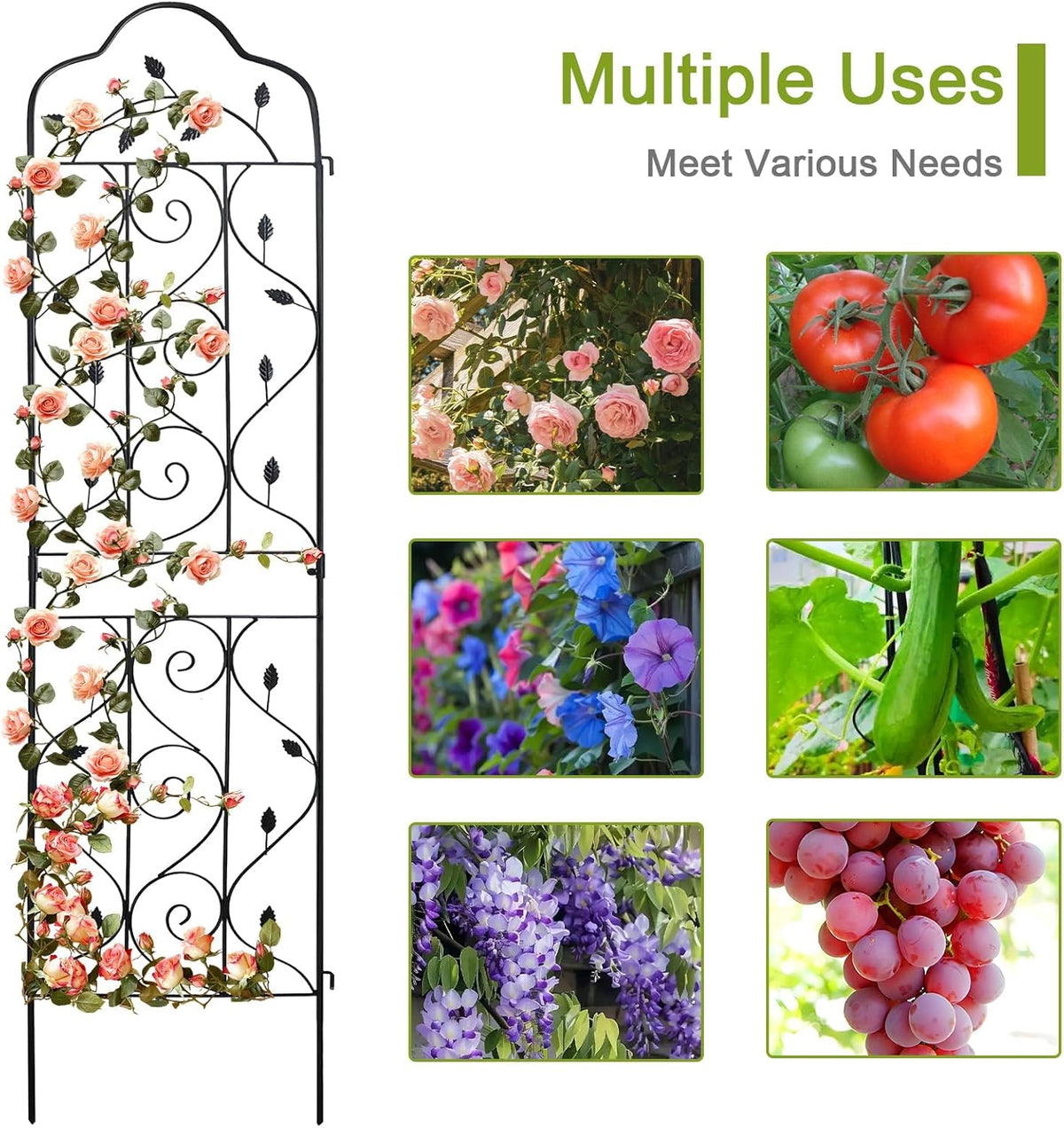 hogardeck 4 Packs 72 * 18 inch Metal Garden Trellis for Climbing Plants Outdoor,Heavy Duty,Black