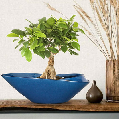 Bonsai Pot - 18 Inch Ceramic Planter for Indoor Outdoor Plants Bonsai Tree Pot Modern Large
