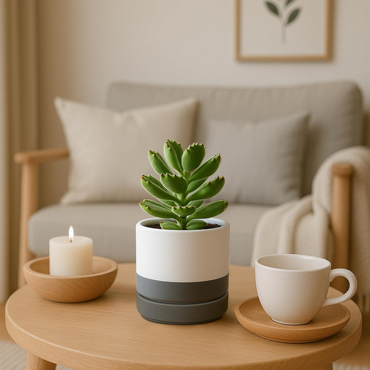 D'vine Dev Set of 4 Small Ceramic Plant Pots, 4.7 Inch Succulent Planter Pot for Plants with