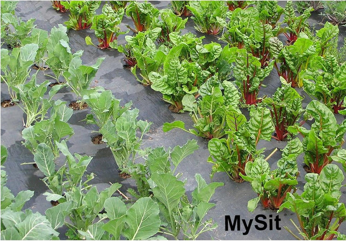 MySit 12" Garden Stakes Pins Landscape Staples 11Ga Tent Stakes 200Pack, Heavy Duty Galvanized