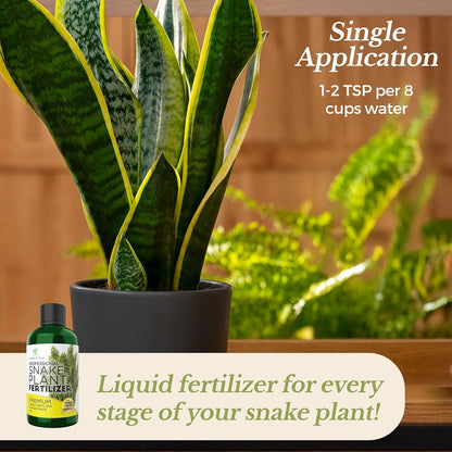 Professional Liquid Snake Plant Fertilizer | 3-1-2 Concentrate for Plants and Flowers |