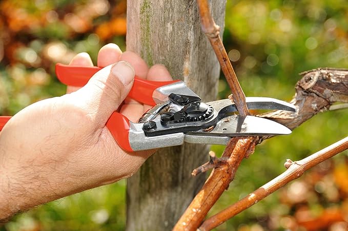 Felco F8 Pruning Shears – 8.3" Swiss-Made Garden Clippers with 1" Cutting Capacity for Ergonomic
